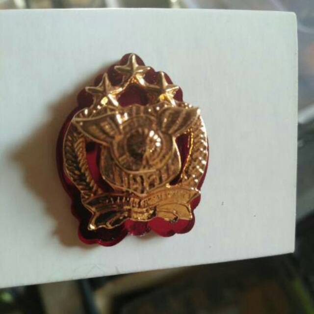 Pin lantas kejuruhan