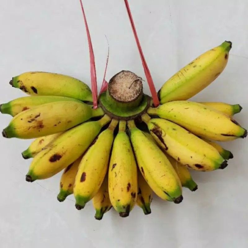 

Pisang Lampung 1sisir