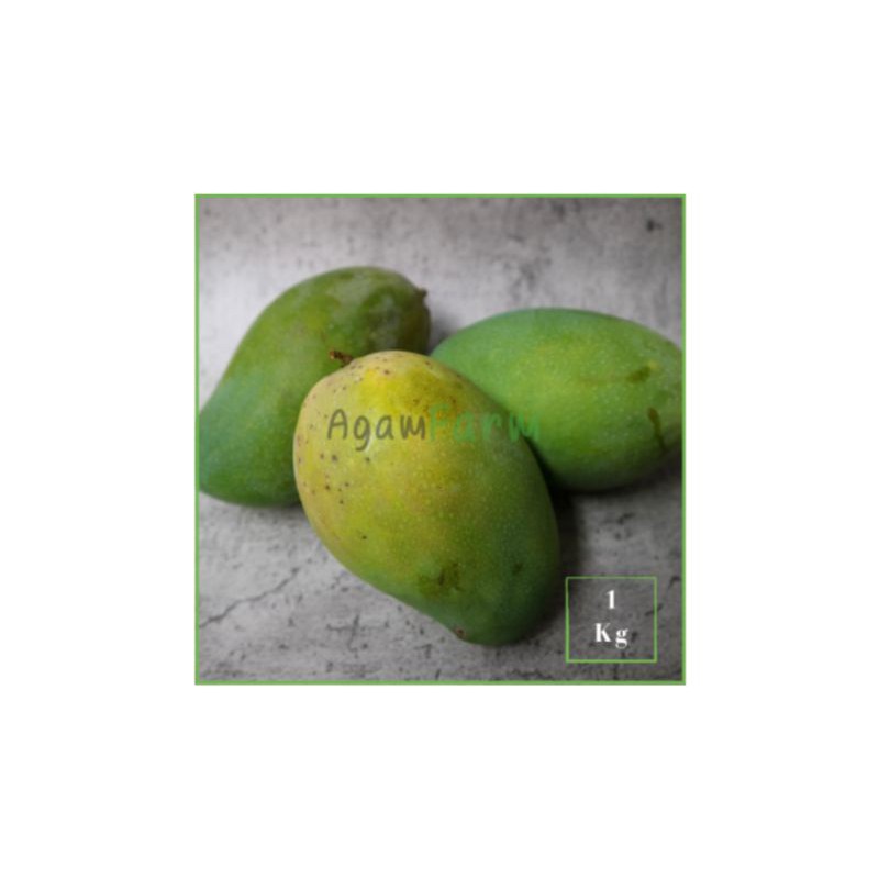 

mangga alpukat