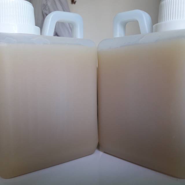 

Madu Putih Asli