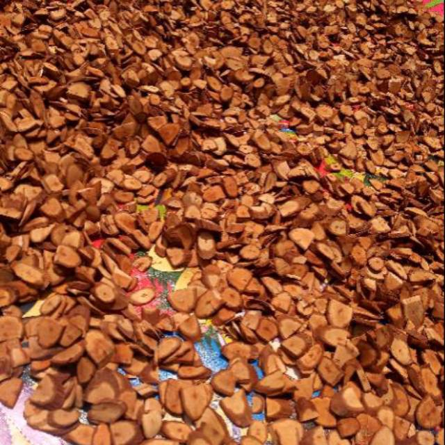 bajakah asli suku dayak