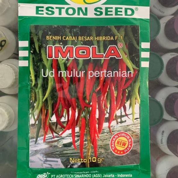 1401(=) Benih bibit Cabe cabai lombok besar hibrida f1 IMOLA  10 GRAM ♭