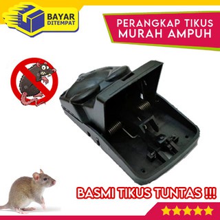 Jebakan Perangkap Tikus Black Cat Mouse Trap