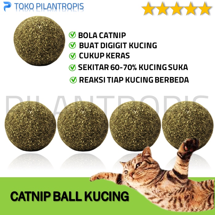 CATNIP BALL MAINAN KUCING MURAH CAT NIP BOLA CATNIP CATMINT CAT MINT BISA UNTUK KITTEN ANAK KUCING