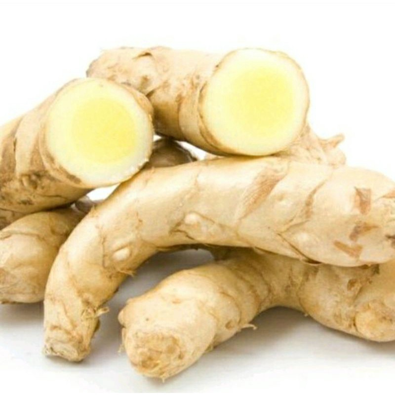 

(1000 Gram) Kunyit putih segar