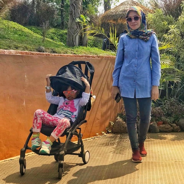 Stroller Einhill Armadillo 2