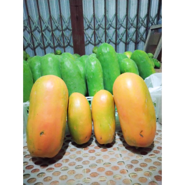

Pepaya California