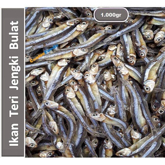 

Ikan Teri Jengki Bulat Medan [ Berat 0.5Kg / 500gr ]