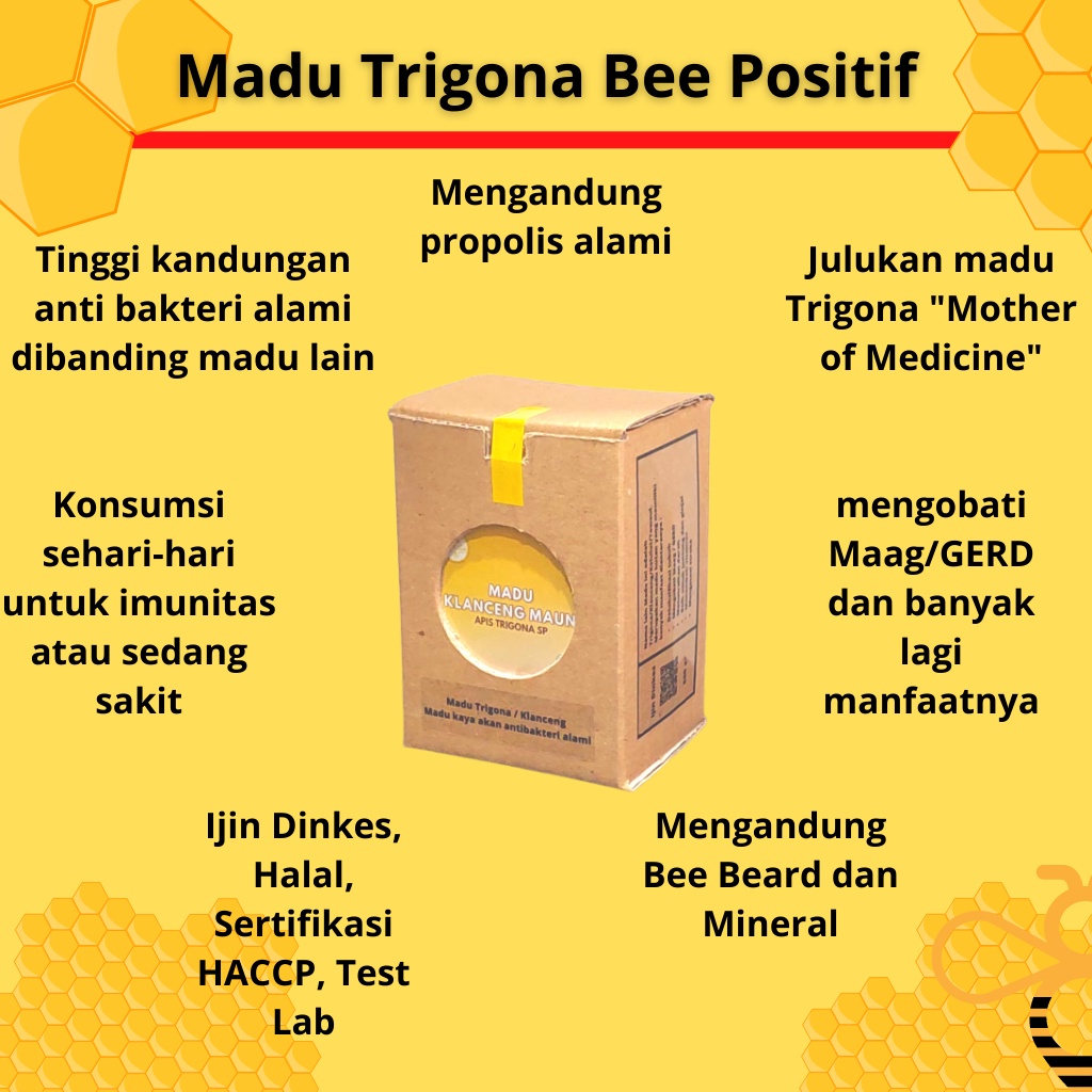 

Madu Trigona Bee Positif Klanceng Mauni