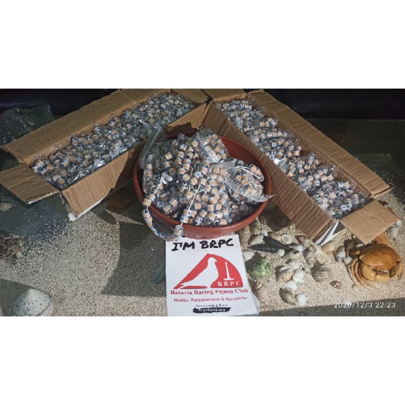 Ring Merpati Pos ID 2021