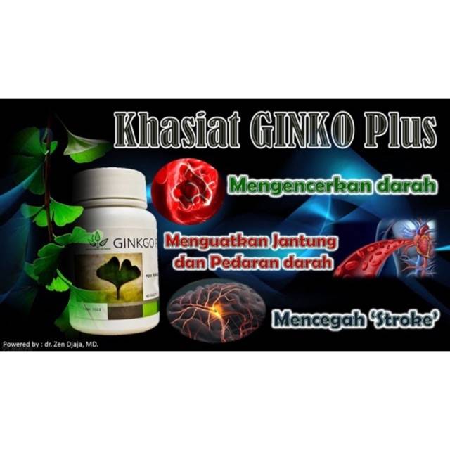 DIAMOND INTEREST GINKGO PLUS 60 / 100 TABLET DIAMOND INTEREST DI GINKGO BILOBA GINKO GINGO