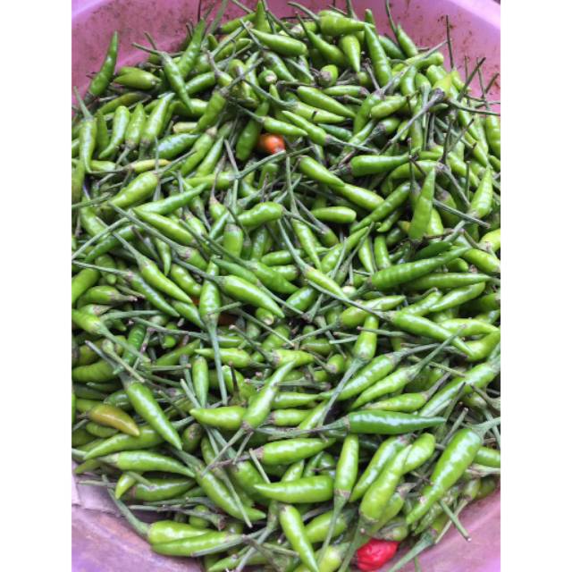 Cabai rawit hijau cabe rawit 1 ons