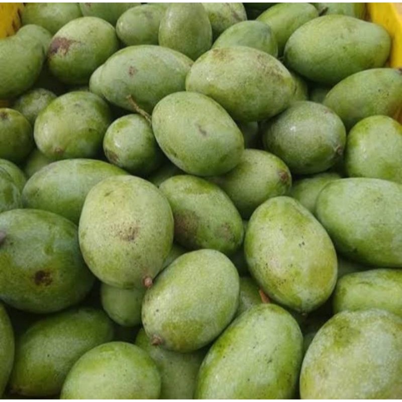 

Mangga Manalagi Madu Premium 1Kg