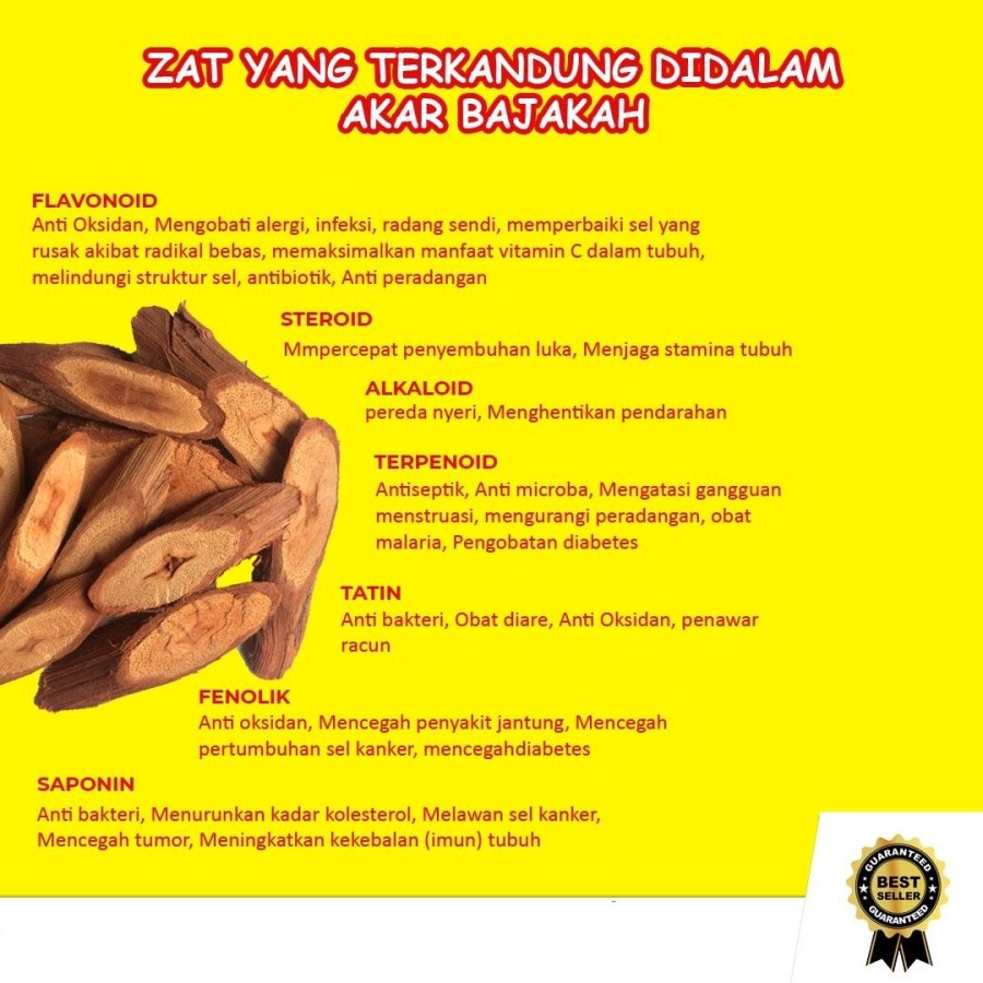 KAYU BAJAKAH ASLI KALIMANTAN GROSIR AKAR BAJAKA KALAWIT MERAH 250 GRAM