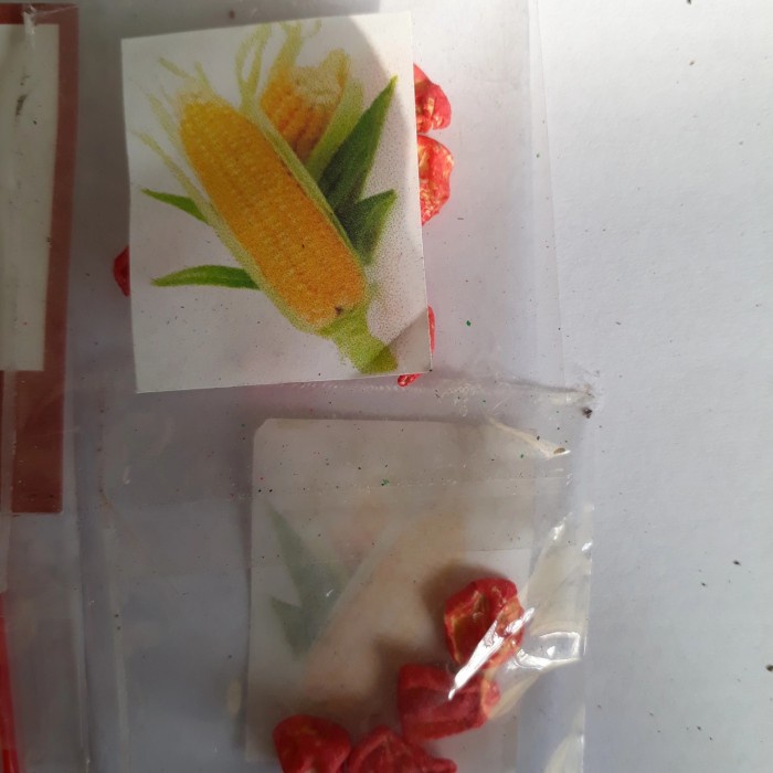 CODE ID BIBIT TANAMAN BUAH, SEMANGAK, MELON,UMBI BIT MERAH,JAGUNG MANIS (