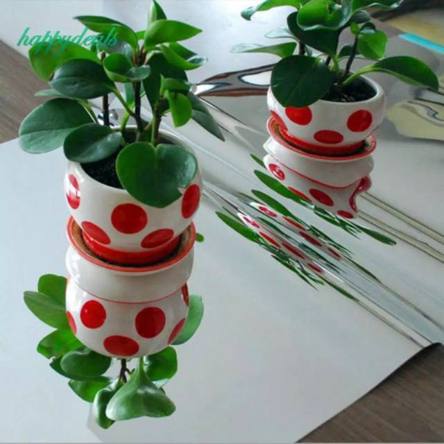 sticker cermin dinding uk 50x100-4