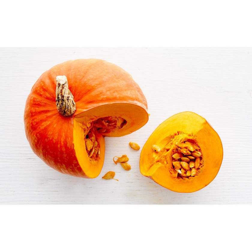 Benih Bibit Biji - Labu Kabocha Orange Manis Jepang Squash F1 Hibrida Waluh Seeds - Panen Dalam 80 HST