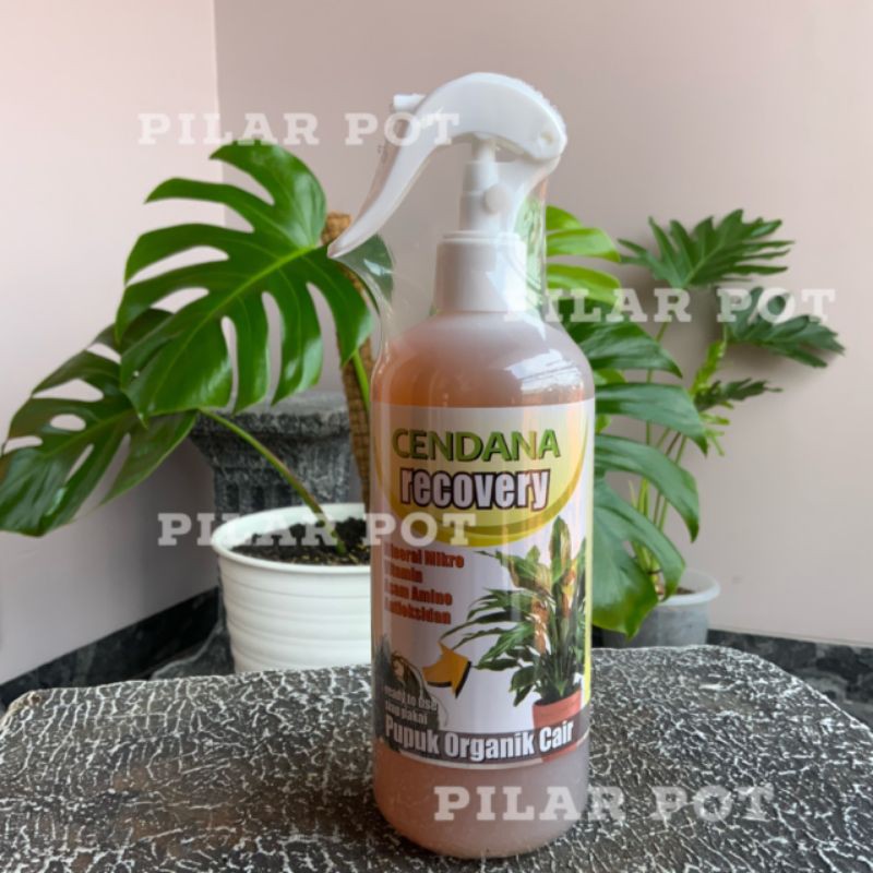 POC CENDANA RECOVERY 500 ML PUPUK ORGANIK CAIR PEMULIHAN TANAMAN SIAP PAKAI - CENDANA RECOVERY