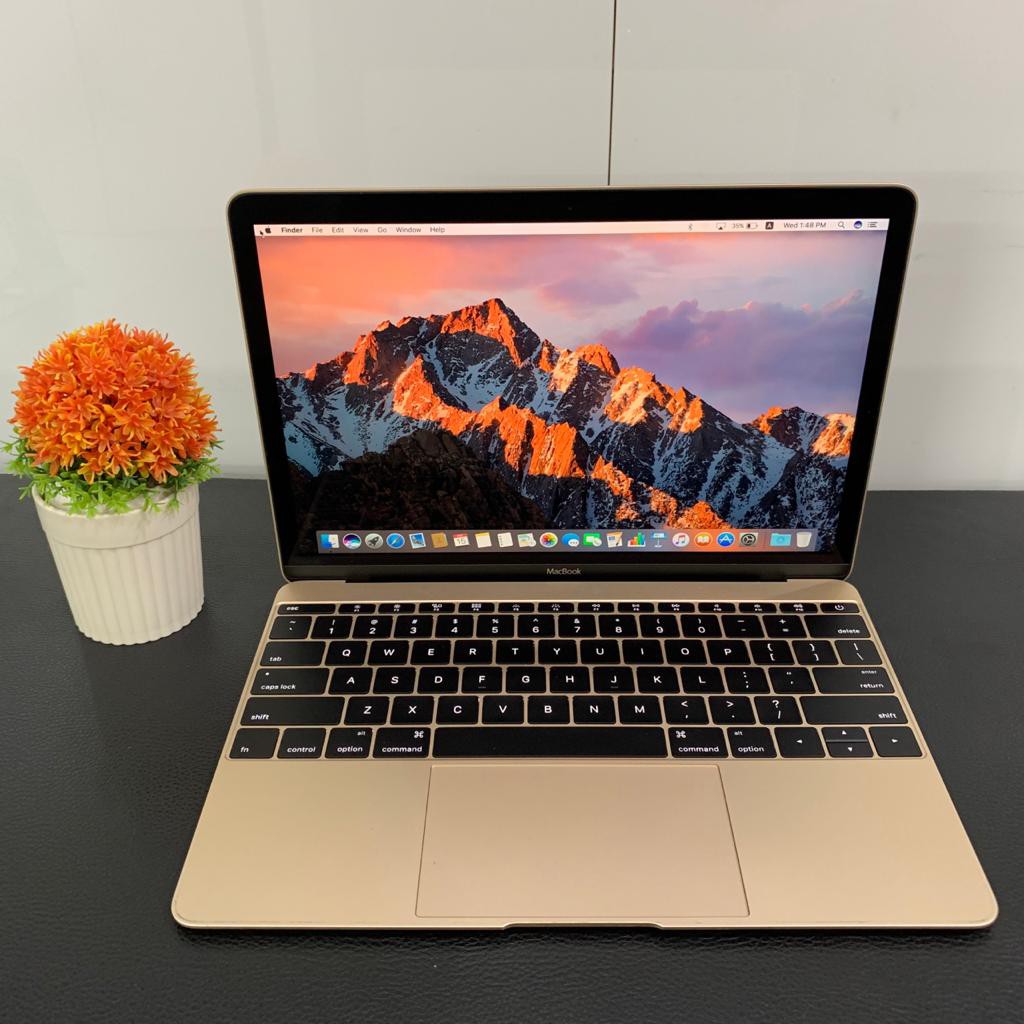 キャンペーンもお見逃しなく MacBook Retina, 12-inch, Early 2016 256