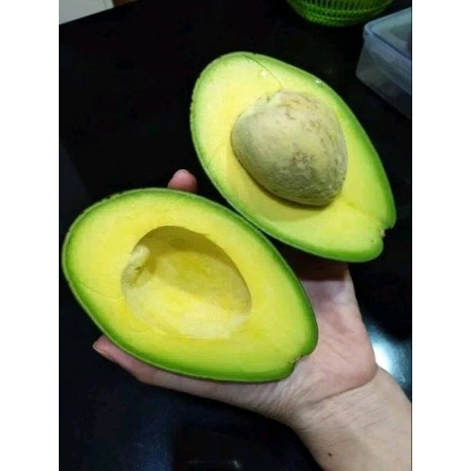 

Alpukat super mentega