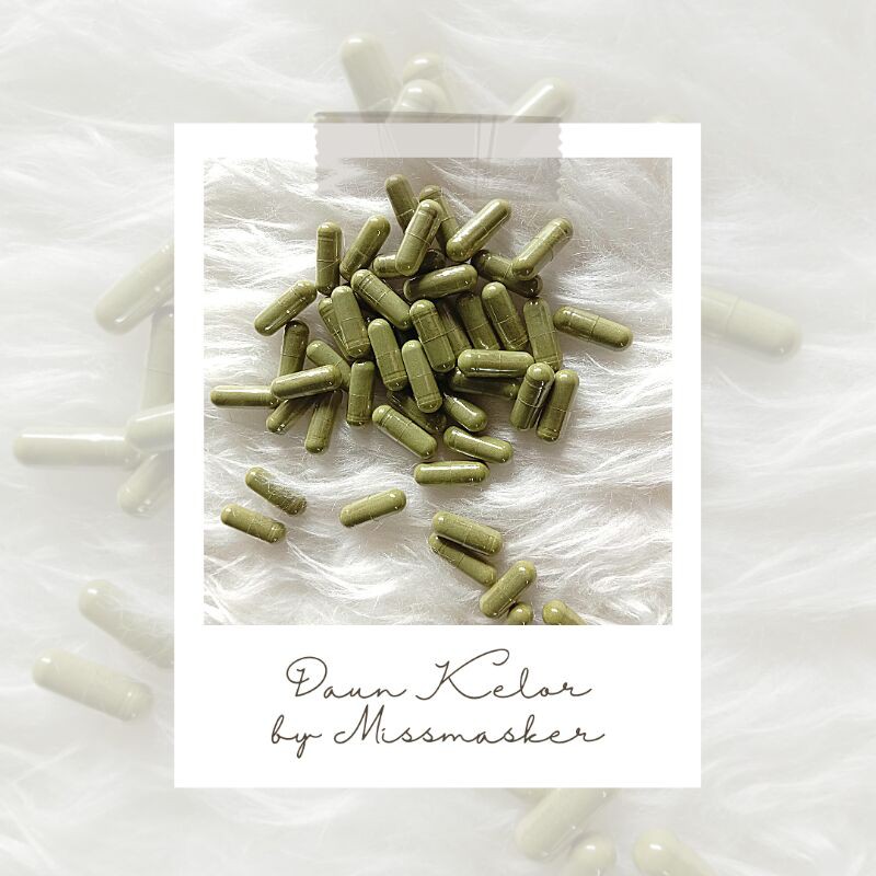 Kapsul daun kelor 100% Asli kelor