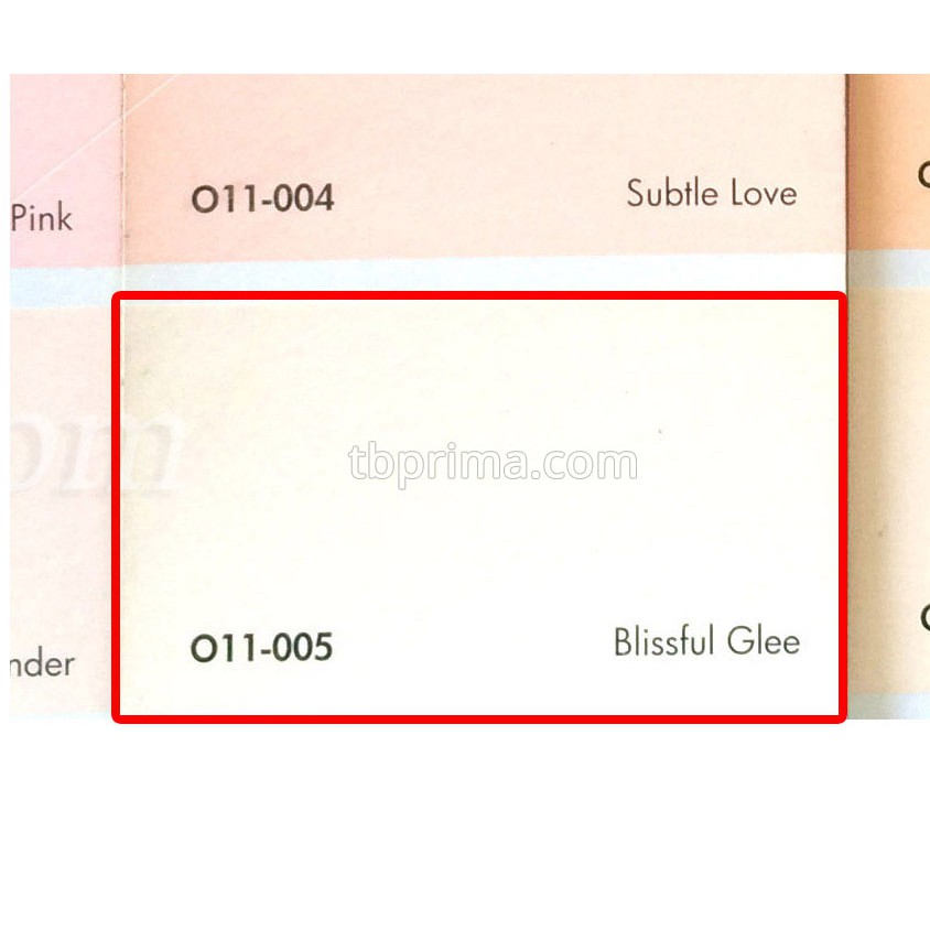 No Drop Tinting O11-005 Blissful Glee 1 kg