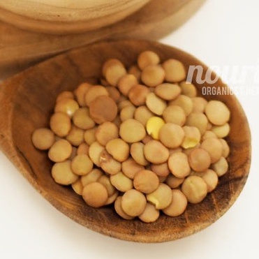 Brown Lentils 500gr