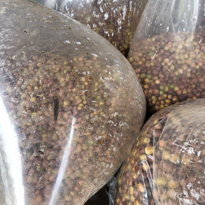 

Ds0Ds1D (Honey Process - Green Bean Arabica Typica - Ciwidey Ds20X11