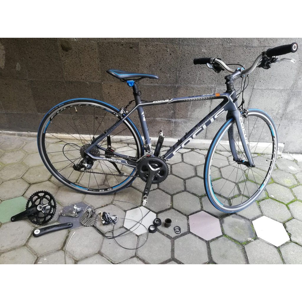 road bike focus harga