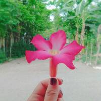 2823riskia