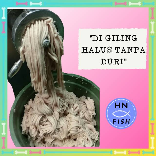 

Ay00! IKAN TENGGIRI GILING SUPER 1 KG HN FISH / KUALITAS EKSPOR MURAH / FRESH JAMIN MURNI TENGGIRI