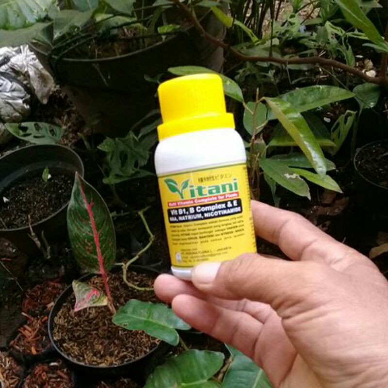 Pupuk cair vitani vitamin B1, B complek isi 100 ml
