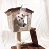 Cat Tree Kate Brown - Rumah Kucing Arthacat