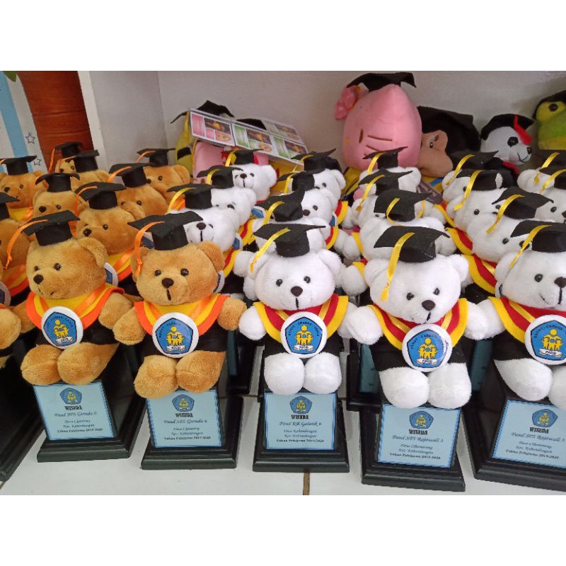 PIALA BONEKA WISUDA TEDDY BEAR 25CM PACKING KOTAK MIKA