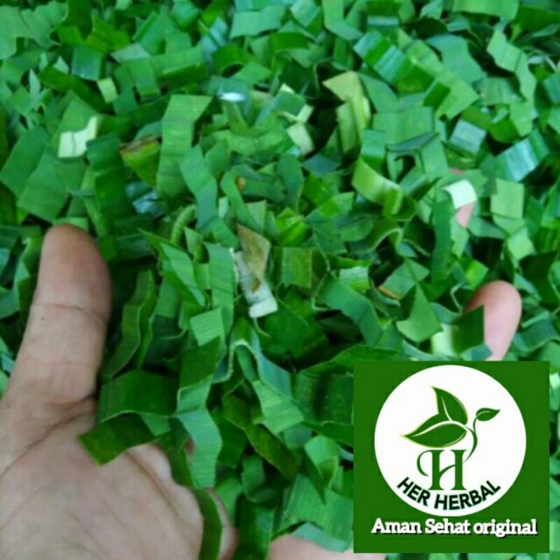 

Jual Irisan Daun Pandan segar siap pakai