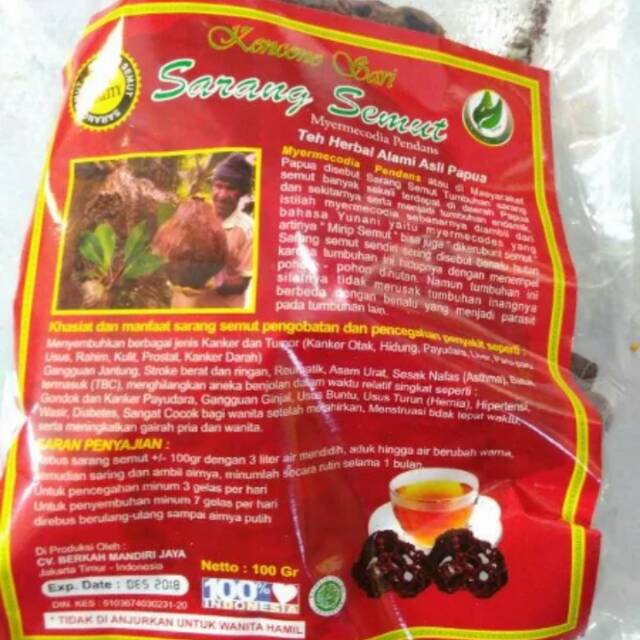 Sarang Semut Papua
