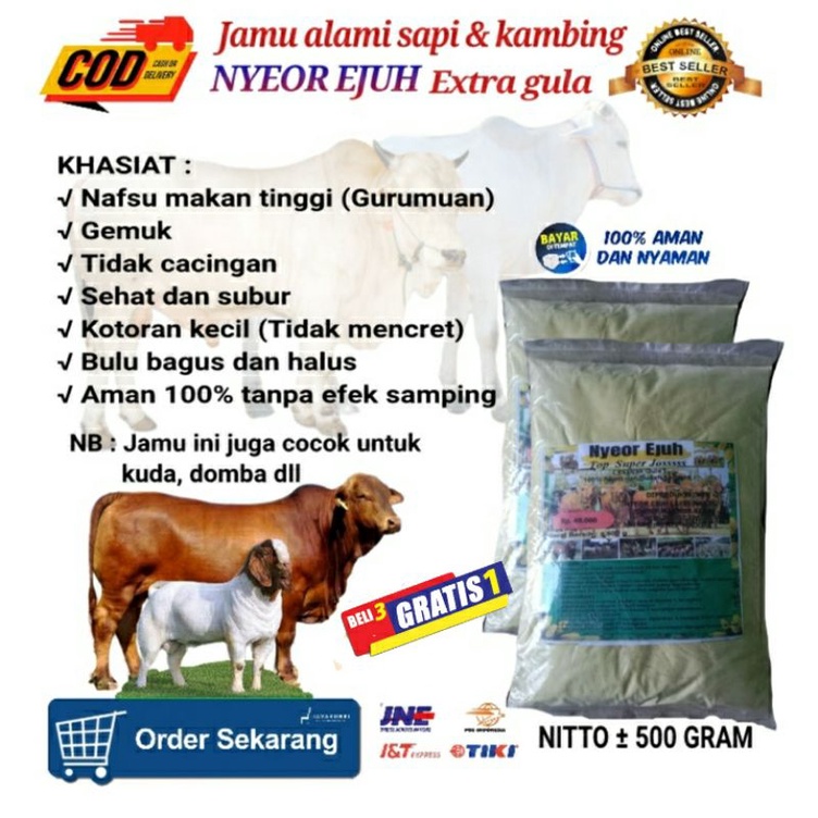 JAMU SAPI PENGGEMUK NYEOR EJUH & JUGA BISA UNTUK KAMBING ATAU HEWAN LAIN. jamu penggemuk. jamu hewan