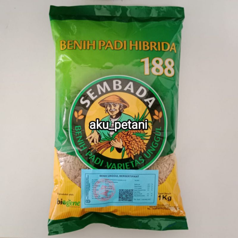 benih padi sembada 188