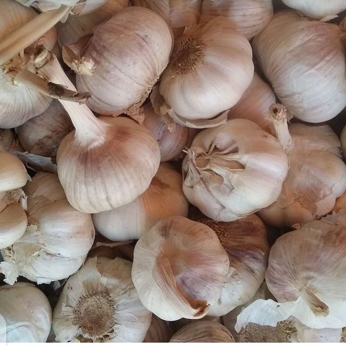 

Discount Bawang Putih Biji Super Pasar Online Makassar