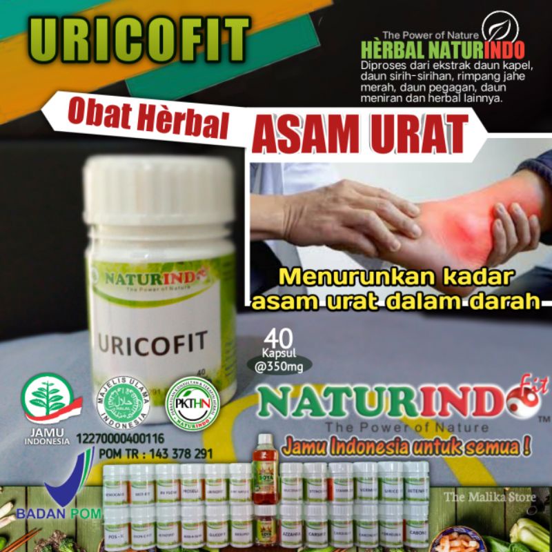 Naturindo URICOFIT Obat Herbal Asam Urat
