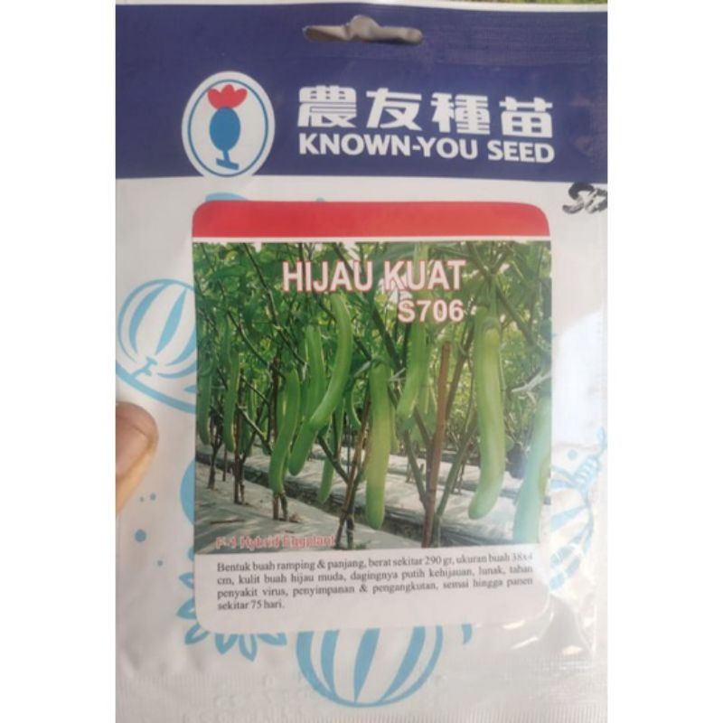 BENIH TERONG HIJAU KUAT 5706 UNGGULAN