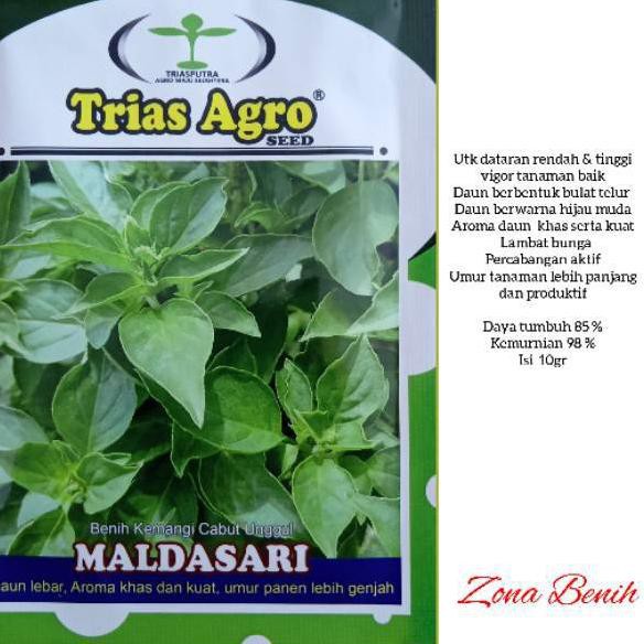 #TERMURAH# Isi 10 Gram Bibit Kemangi MALDASARI | Benih Kemangi Unggul | Bibit Sayuran | Bibit Unggul