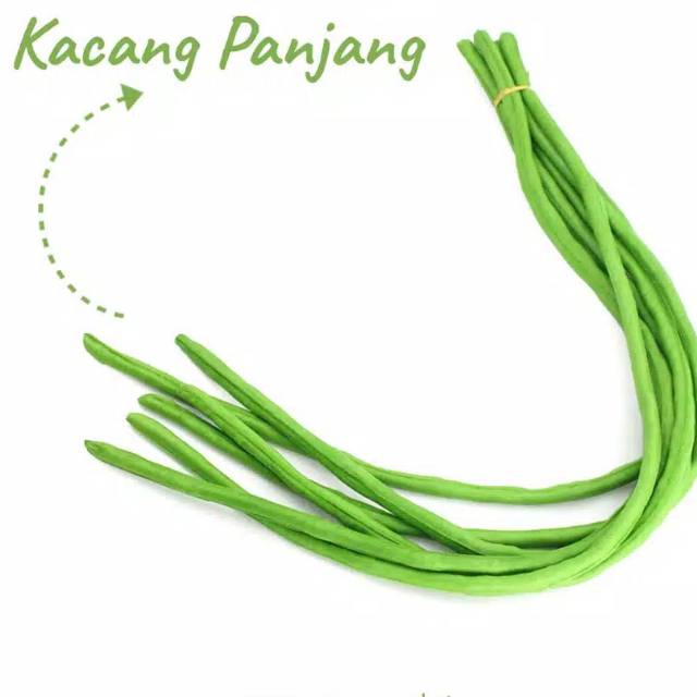 Kacang Panjang