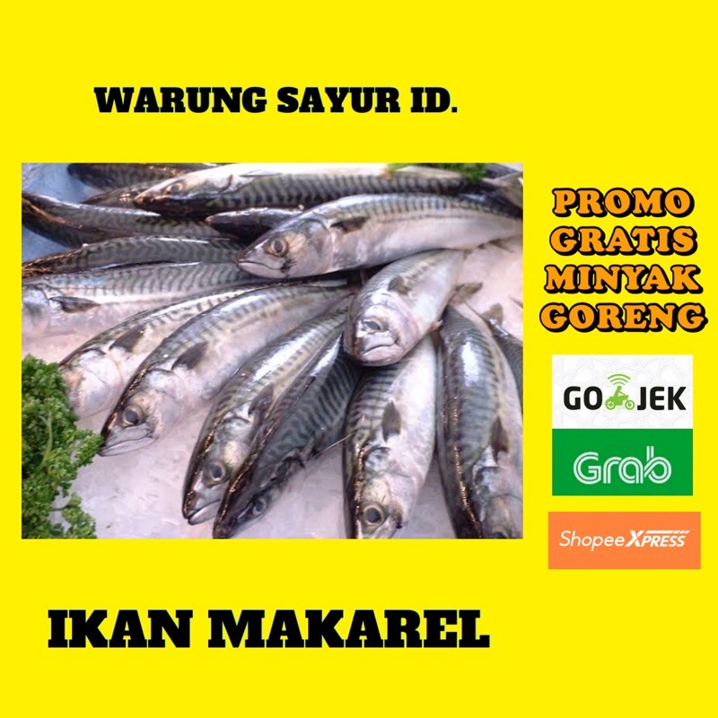 

IKAN MAKAREL SEGAR 500 GRAM