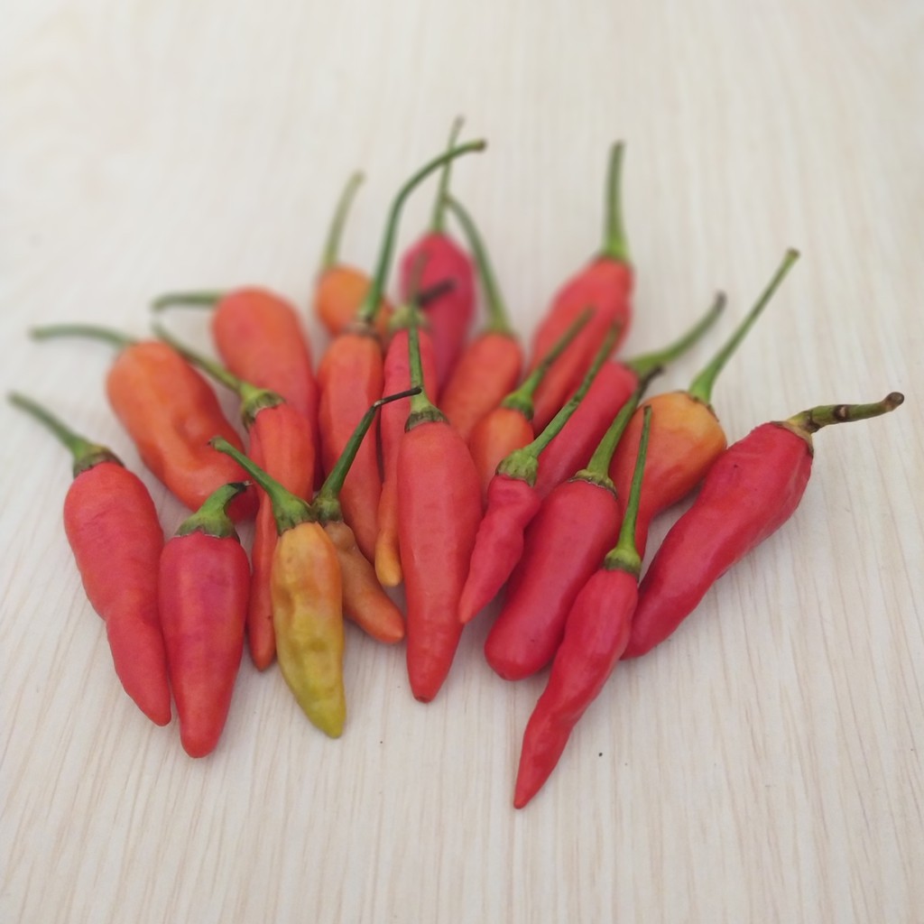 

Cabe rawit merah 250 gr