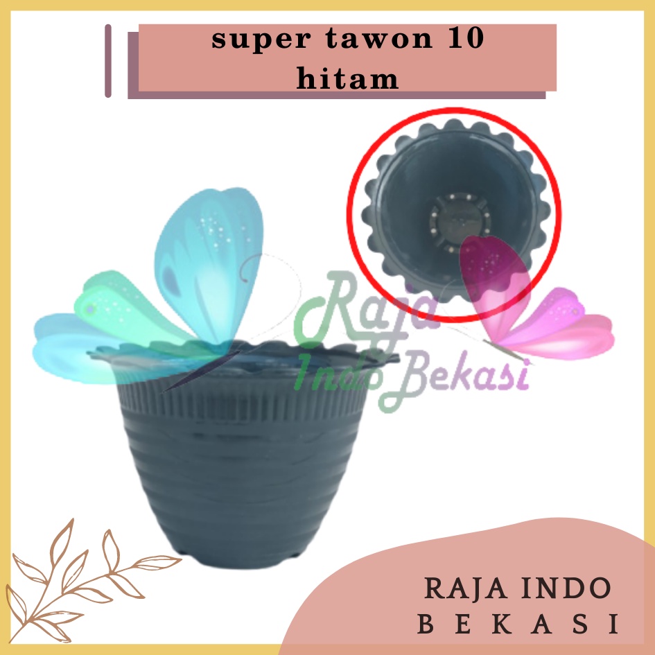 Pot Super Tawon 10 Cm Hitam By Garden Of Love Bkn Pot Tawon 10cm Lusinan Tirus Jet Putih Hitam