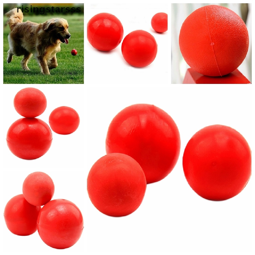 Rsid Span-new Indestructible Solid Rubber Ball Pet cat Dog Training Chew Play Fetch Bite Mainan Jelly