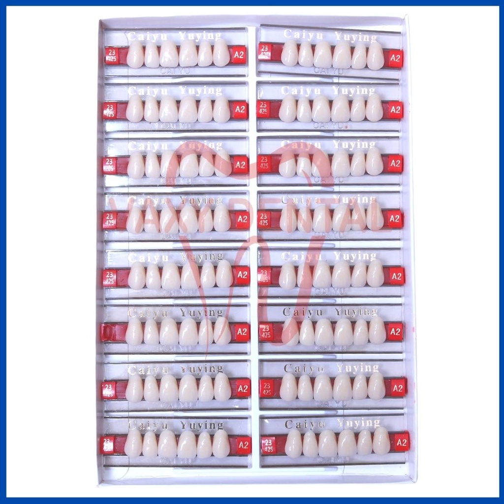 ADY78 Gigi Caiyu Depan Atas 1 Box/Kotak/Dus Isi 16 Papan Gigi Palsu Merk Caiyu Yuying Cayu Anterior