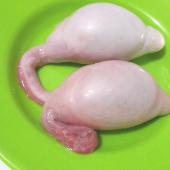 

Meat | Daging Kambing Muda Torpedo 1 Pasang 2 Biji