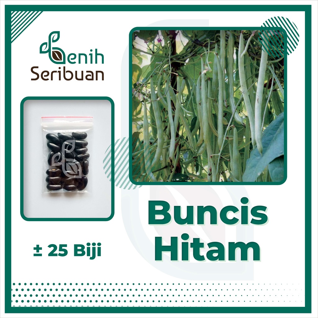 BS-BYL Bibit Sayuran Benih Sayur Buah Hibrida Unggul Buncis Cabe Rawit Bawang Jagung Kacang Lobak Pare Oyong Timun Terong Tomat Wortel dll-BUNCIS HITAM